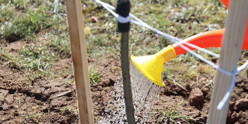 Республиканский субботник пройдет в Беларуси 18 апреля